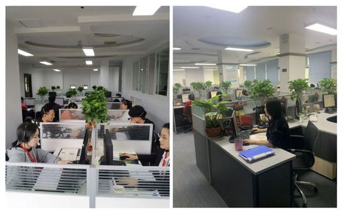 成都市成华区府青路街道第七次全国人口普查咨询热线服务开通